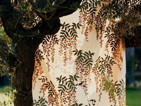 ������ ����� - ����� ��������� �������� ETAMINE