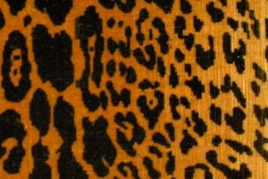 Luidgi Bevilacqua,  Velluto Tagliato 045-Leopardo