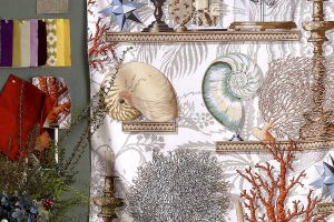 Manuel Canovas  Marin  Le Cabinet de Curiosites