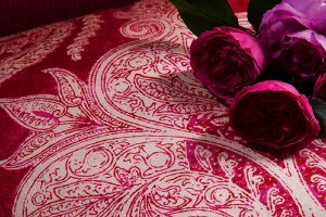 Manuel Canovas  New Collection  Grasse