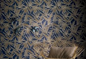 Casamance  PORTFOLIO