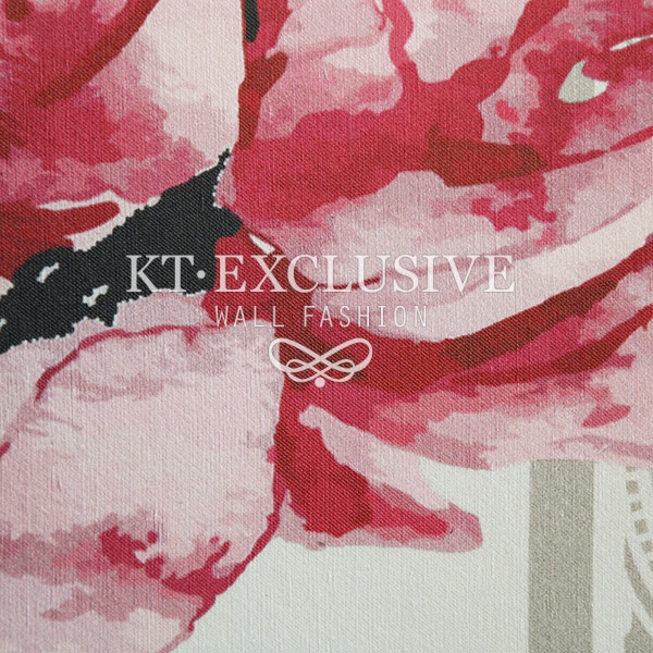 KT EXCLUSIVE  Portfolio