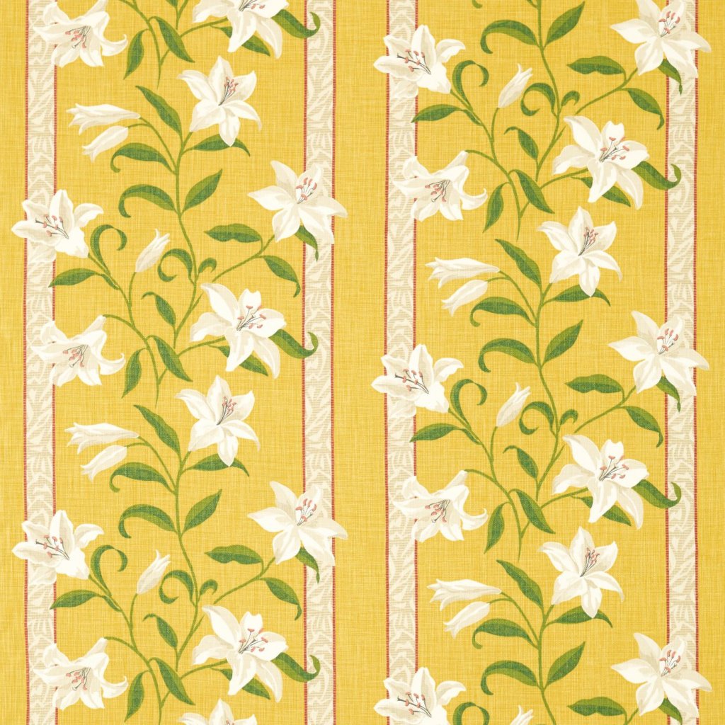 Sanderson Lilium