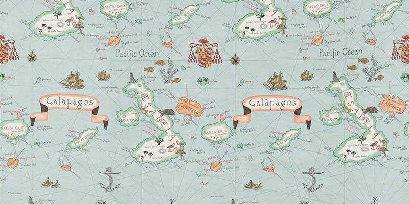 Sanderson  Voyage of Discovery