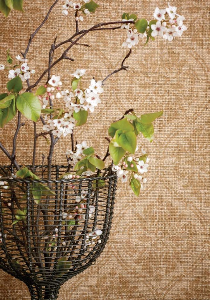 Texture Resource Volume 4 -   THIBAUT